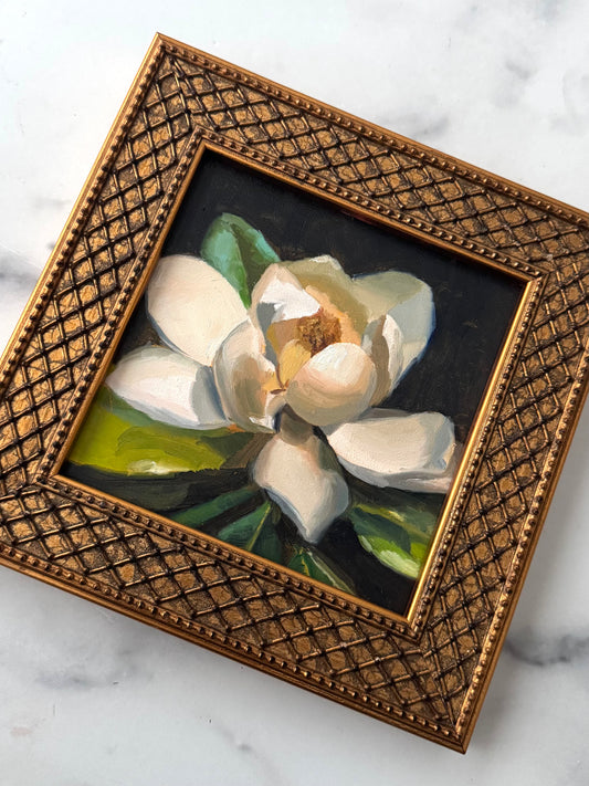 Magnolia II