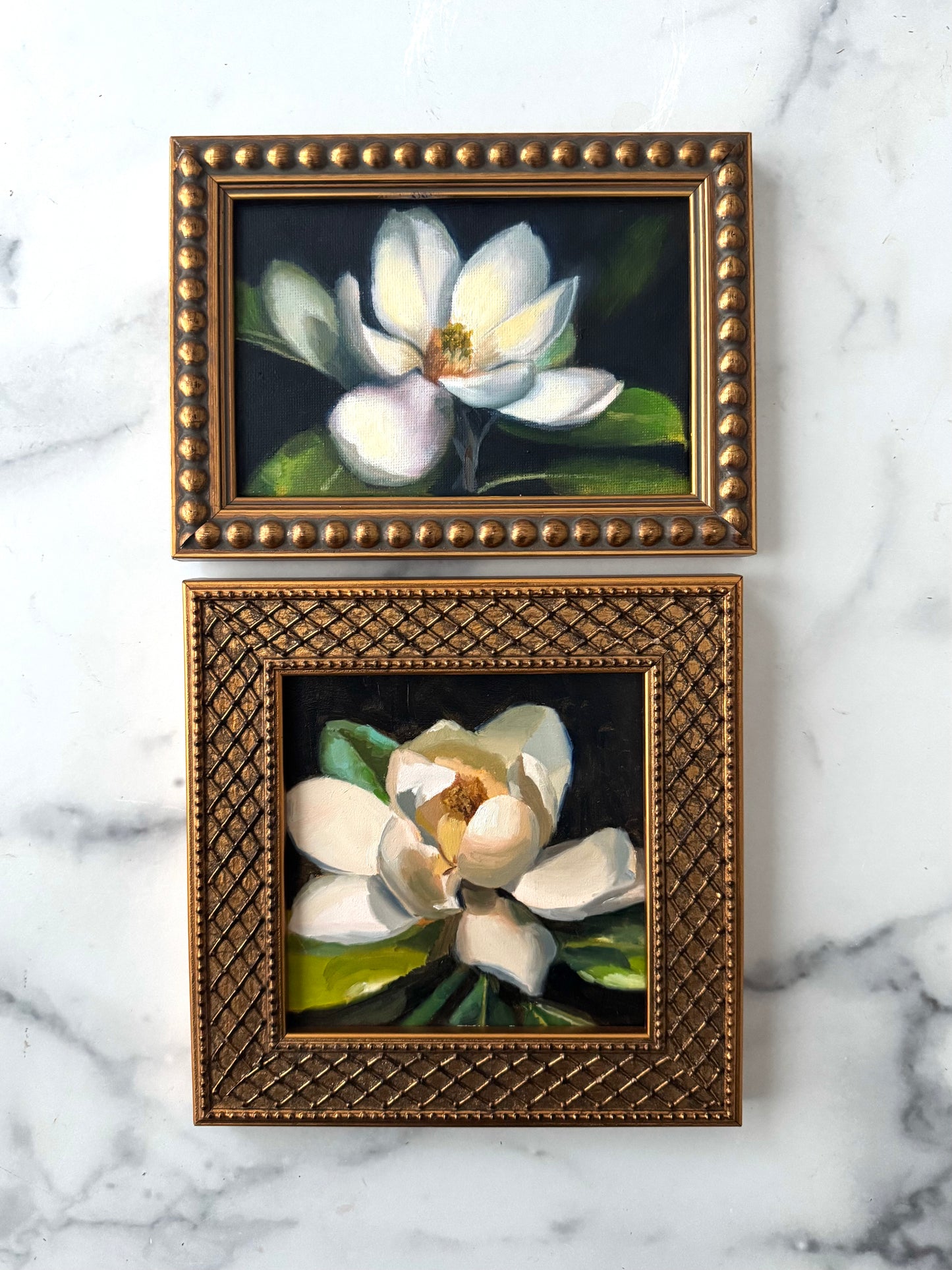 Magnolia II