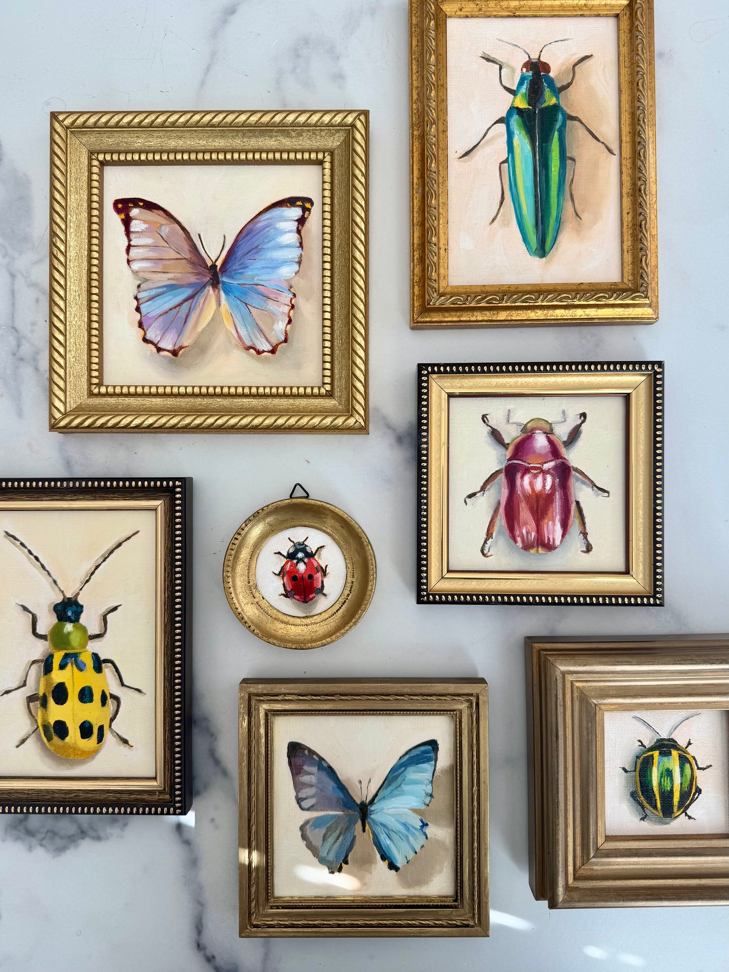 Spotted Cucumber Beetle