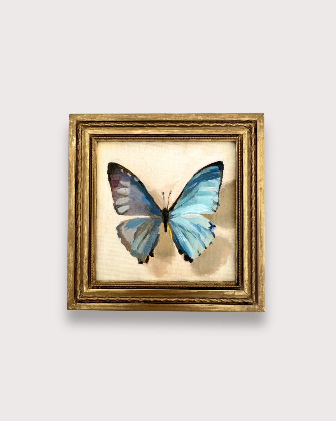 Morpho Zephyritis – Michelle Kobryn Art