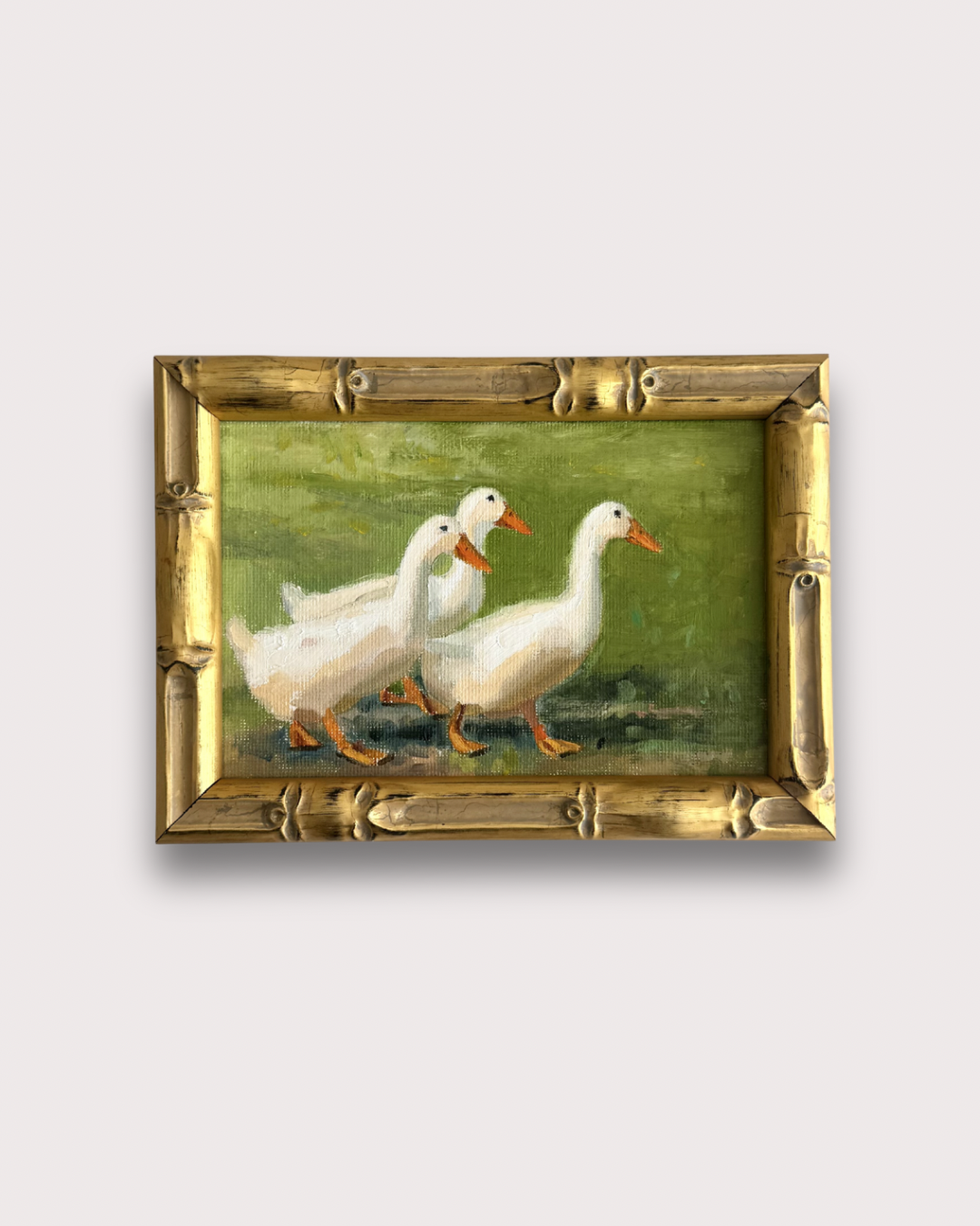 Ducks on the Go