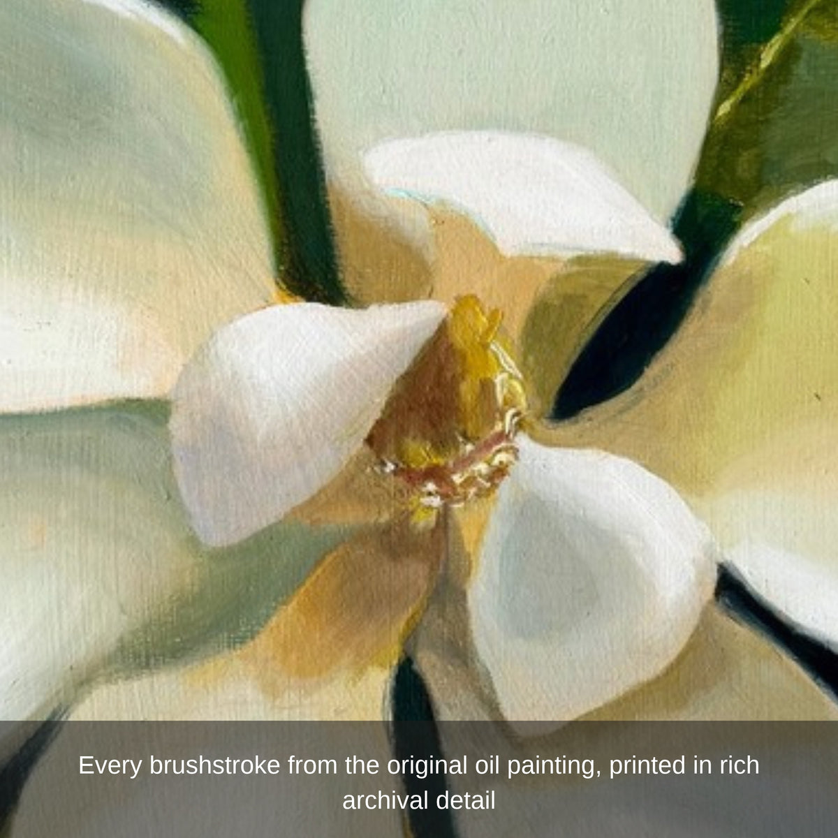 Magnolia brushstroke close-up