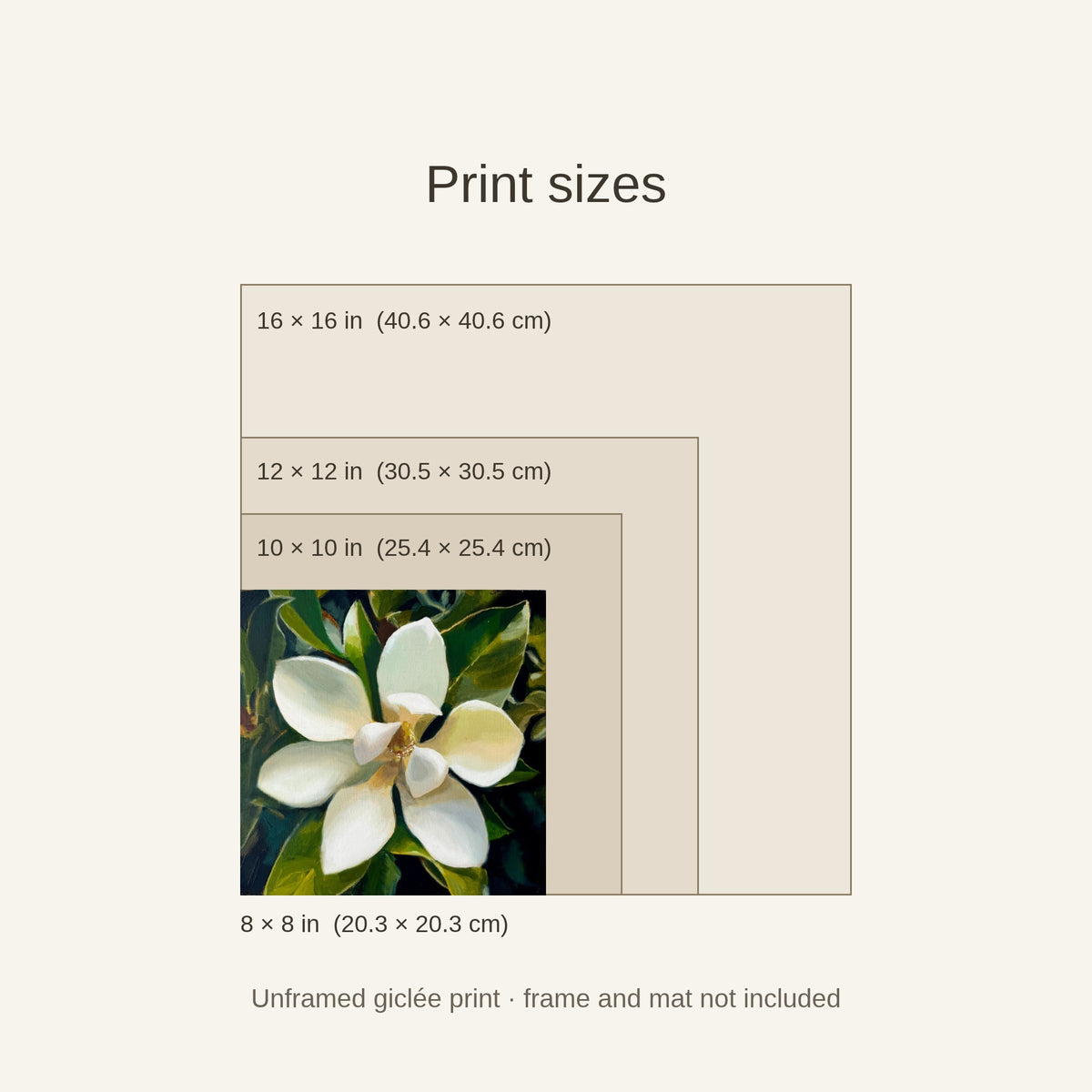 Magnolia print size guide