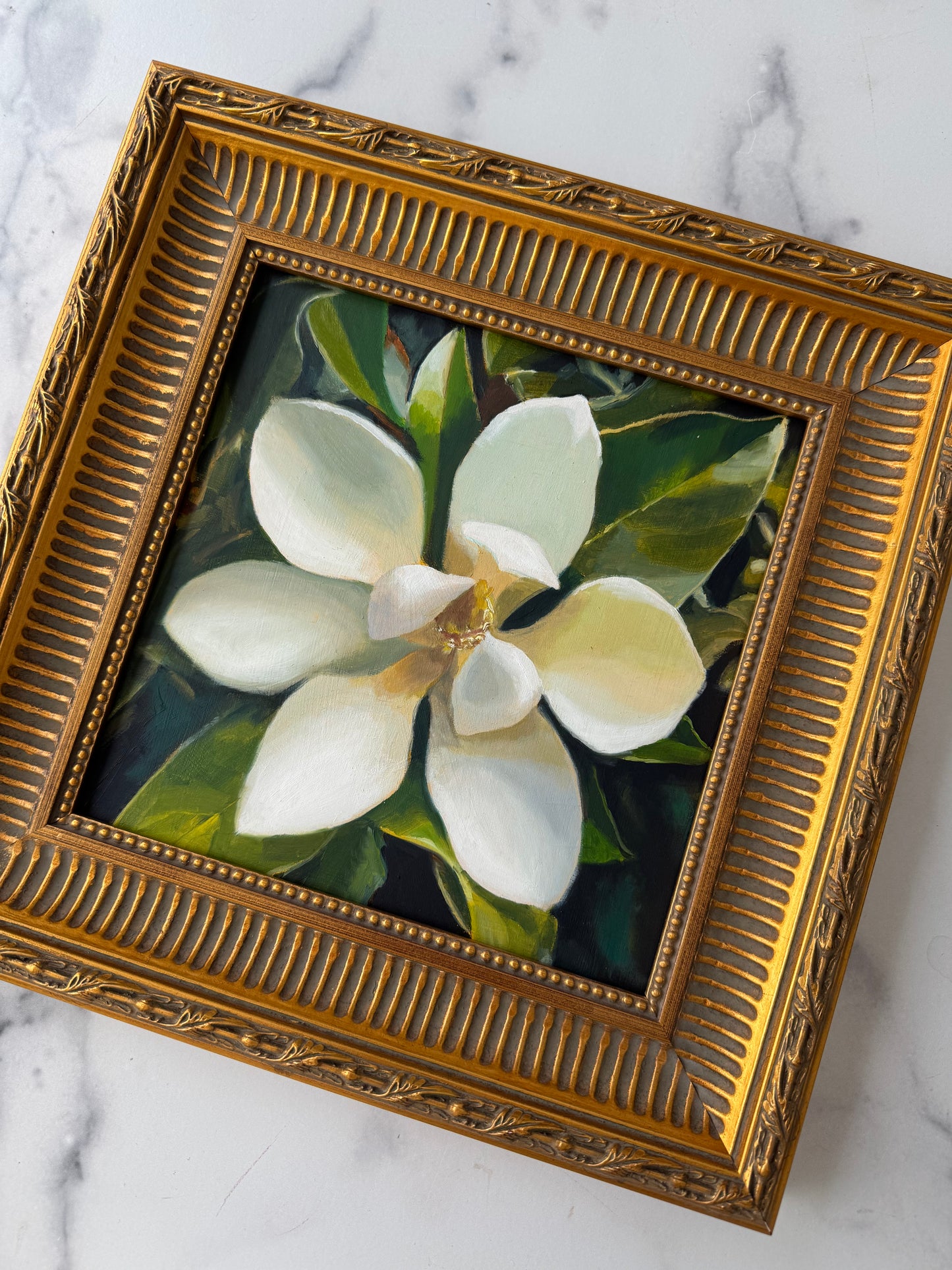 Magnolia