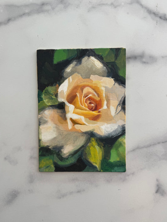 La Vie en Rose III