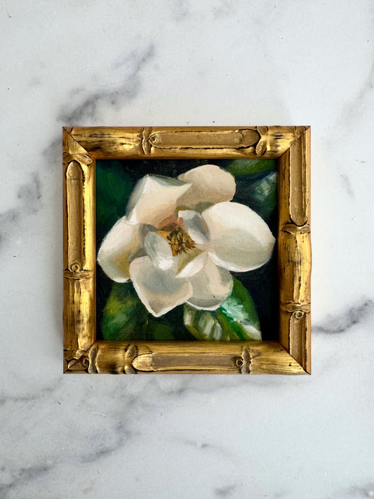 Magnolia IV
