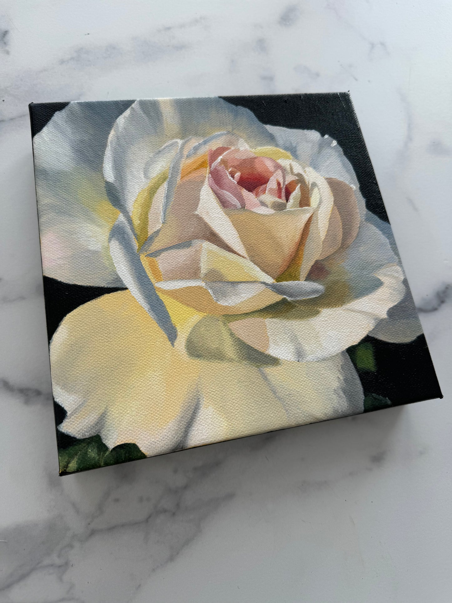 Garden Rose I