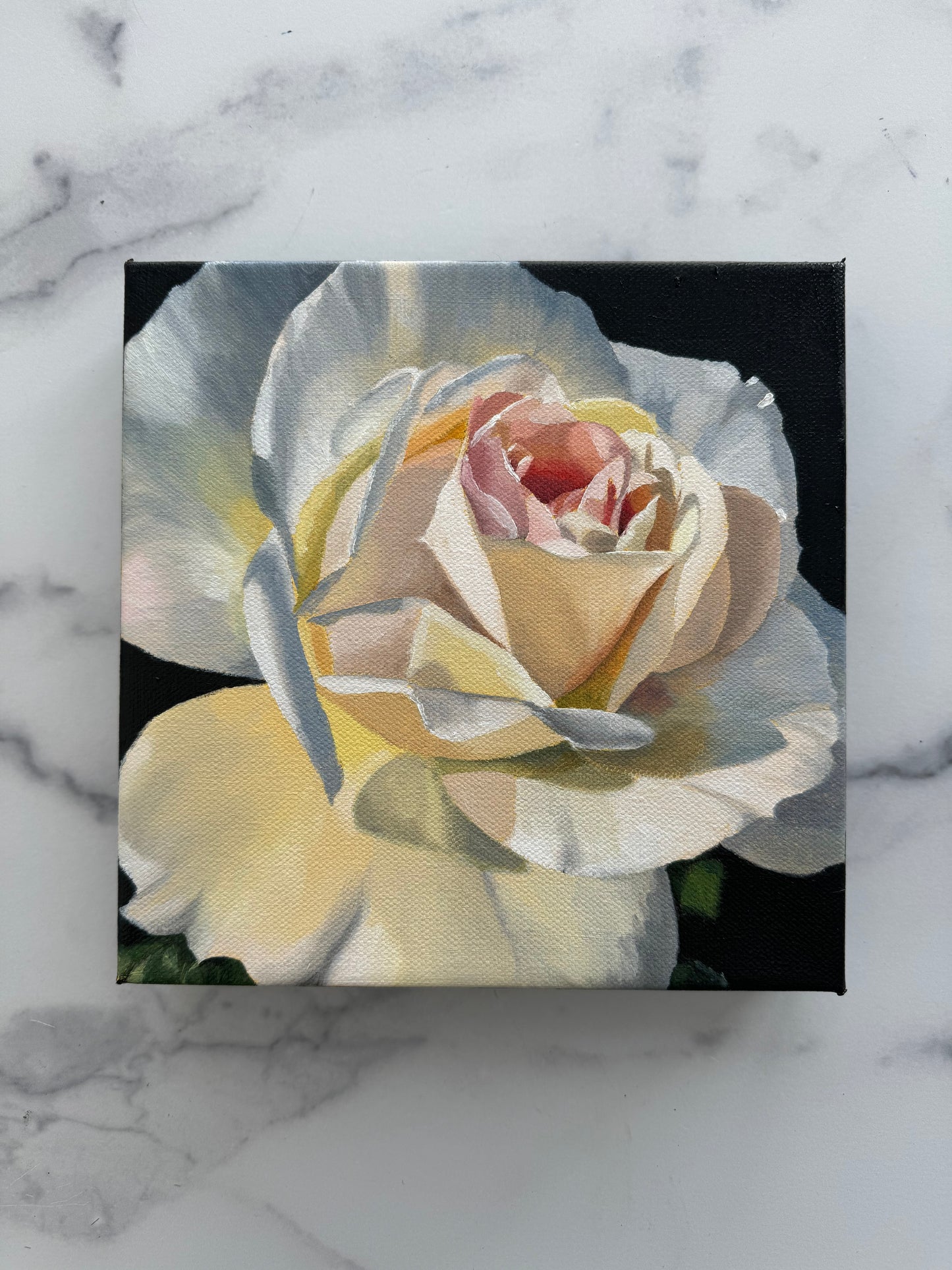 Garden Rose I