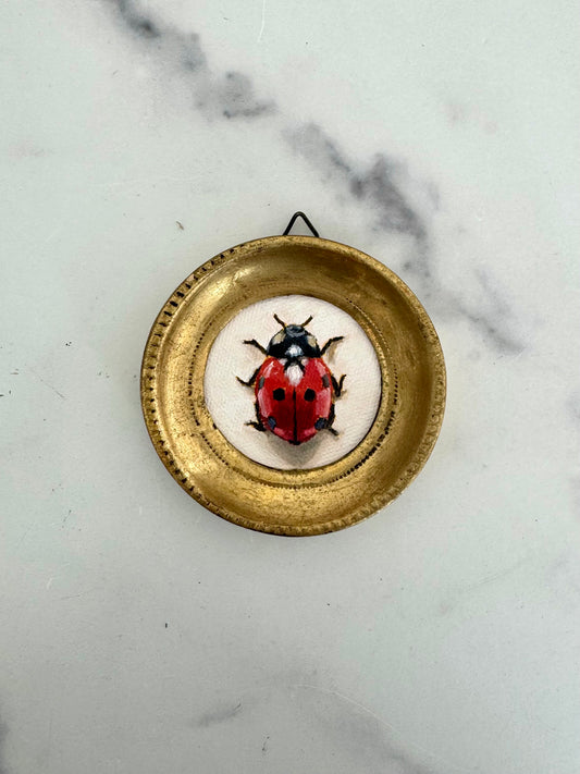 Ladybug