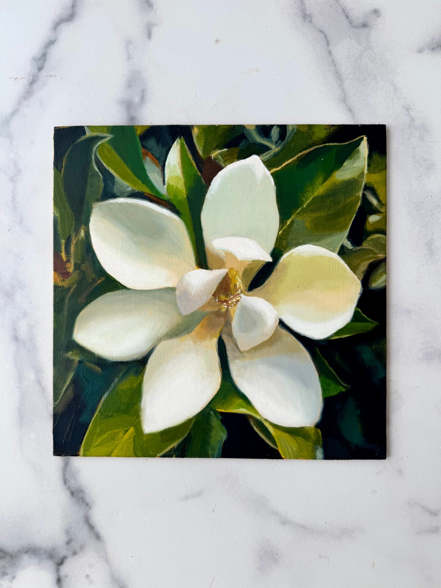 Magnolia
