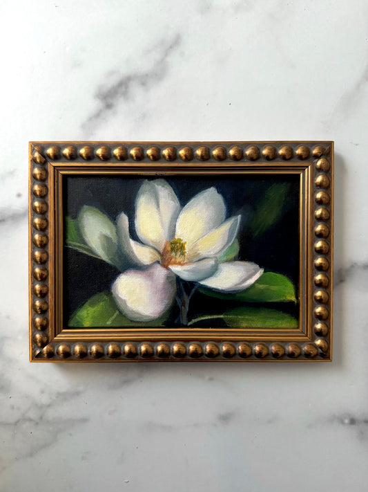 Magnolia III