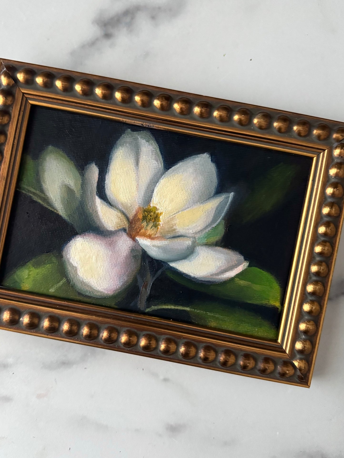 Magnolia III
