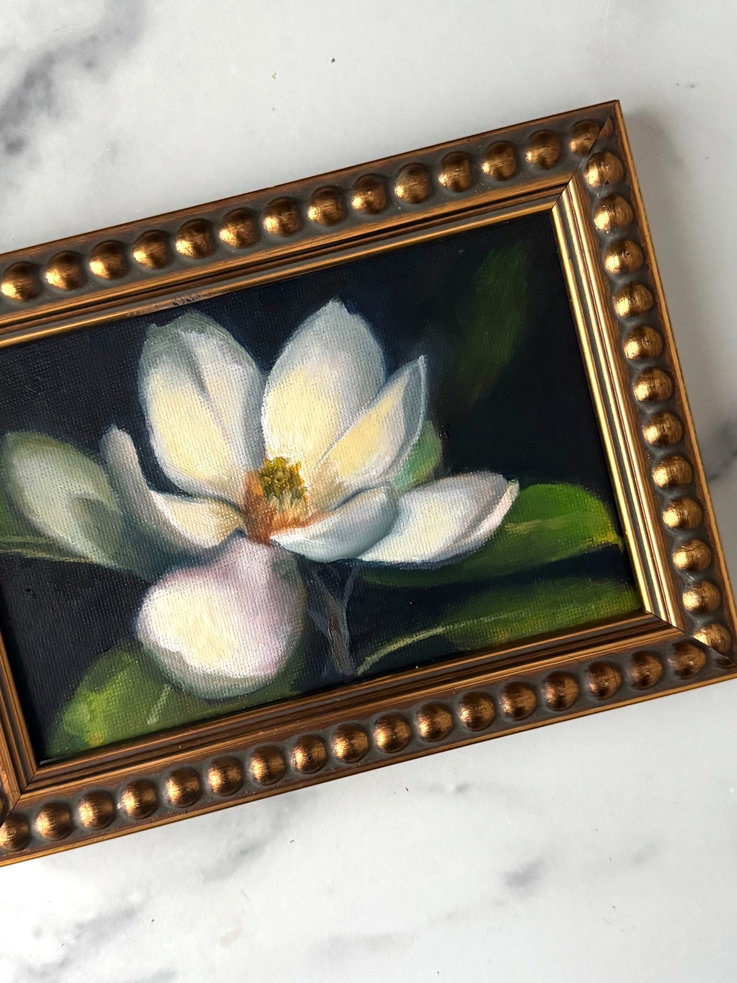 Magnolia III
