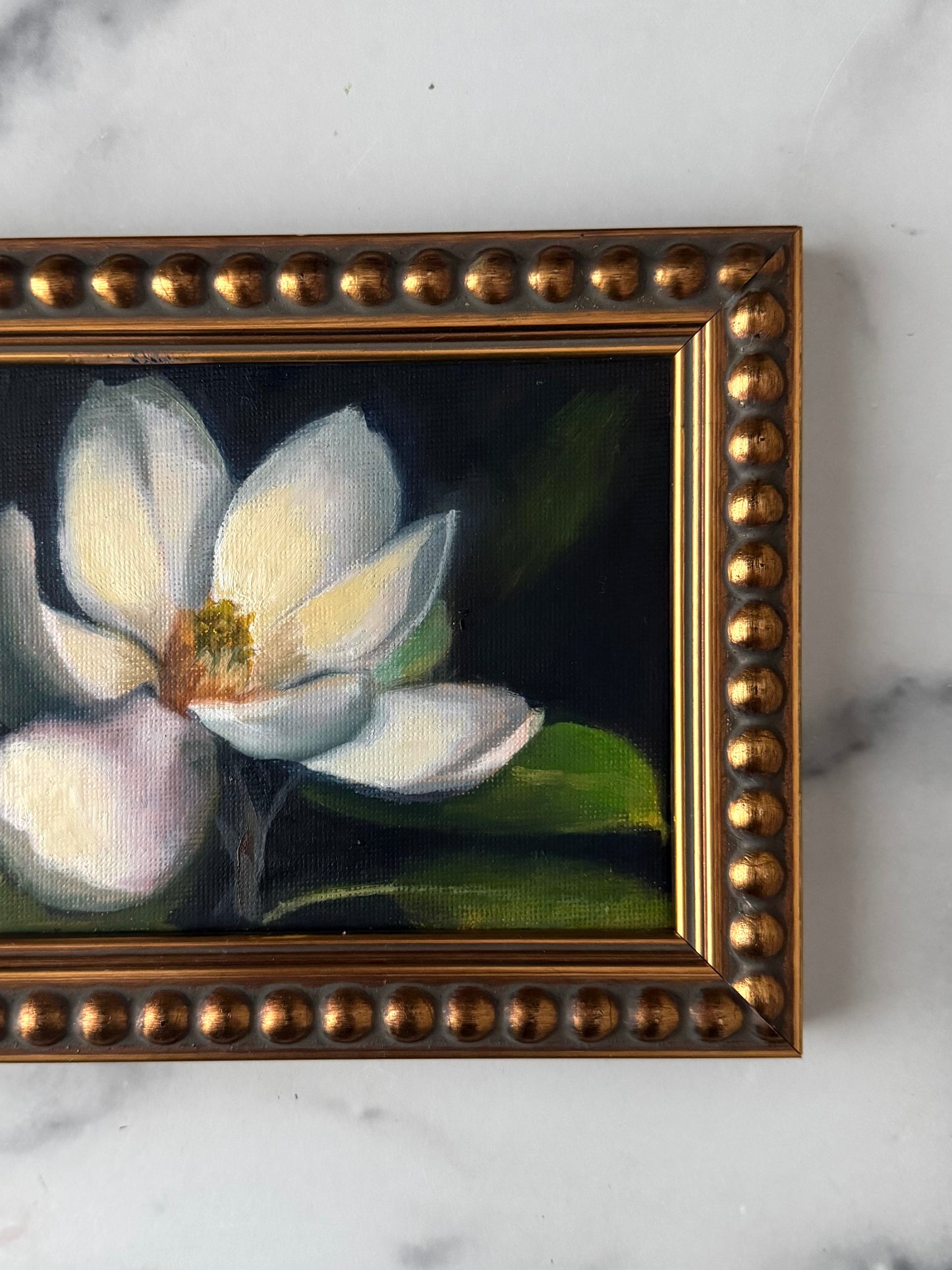 Magnolia III