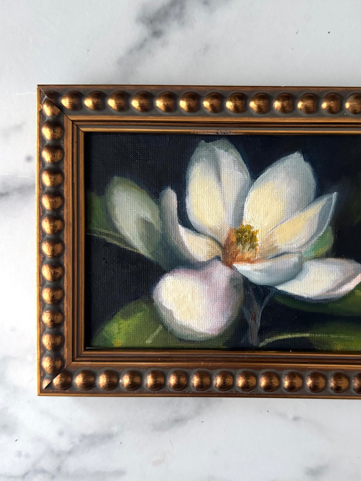 Magnolia III