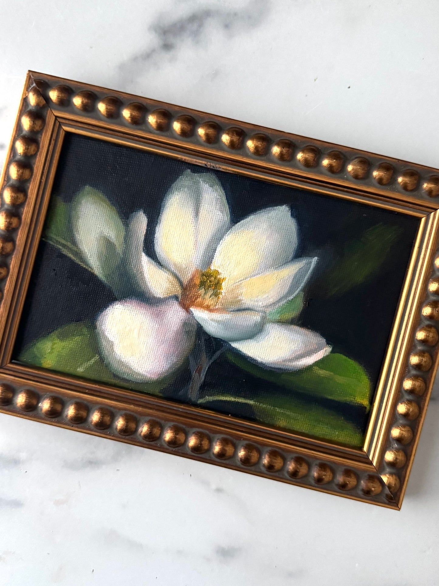 Magnolia III