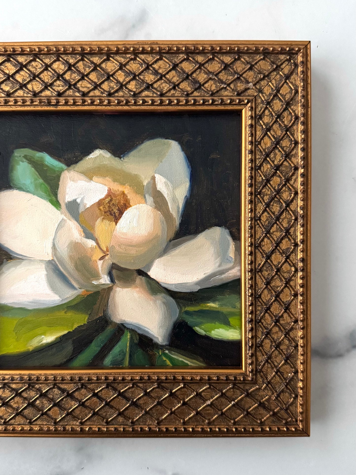 Magnolia II
