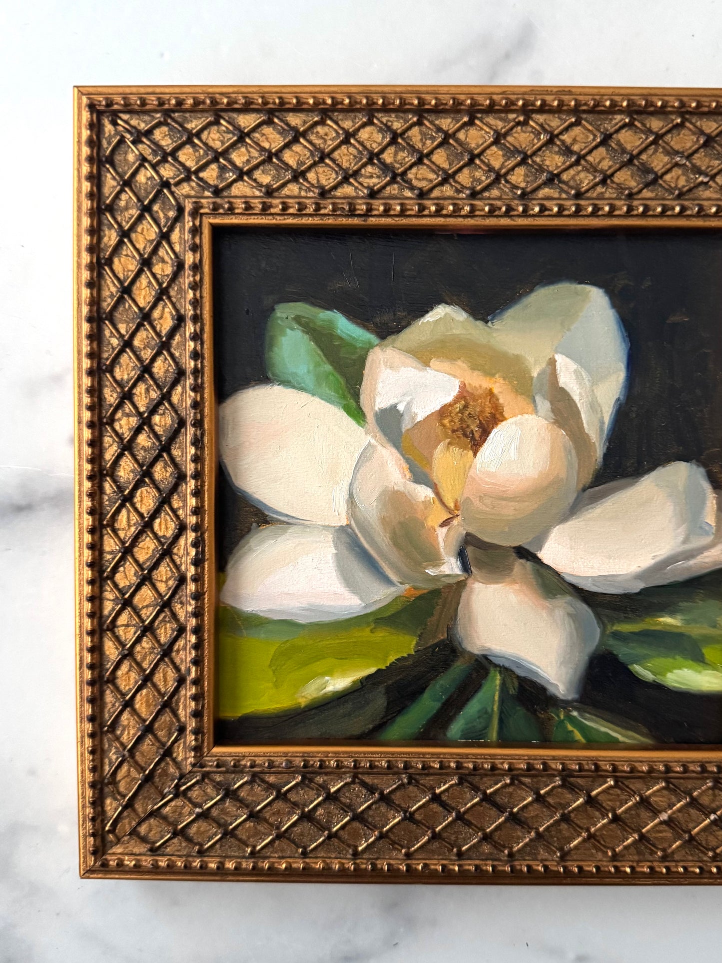 Magnolia II