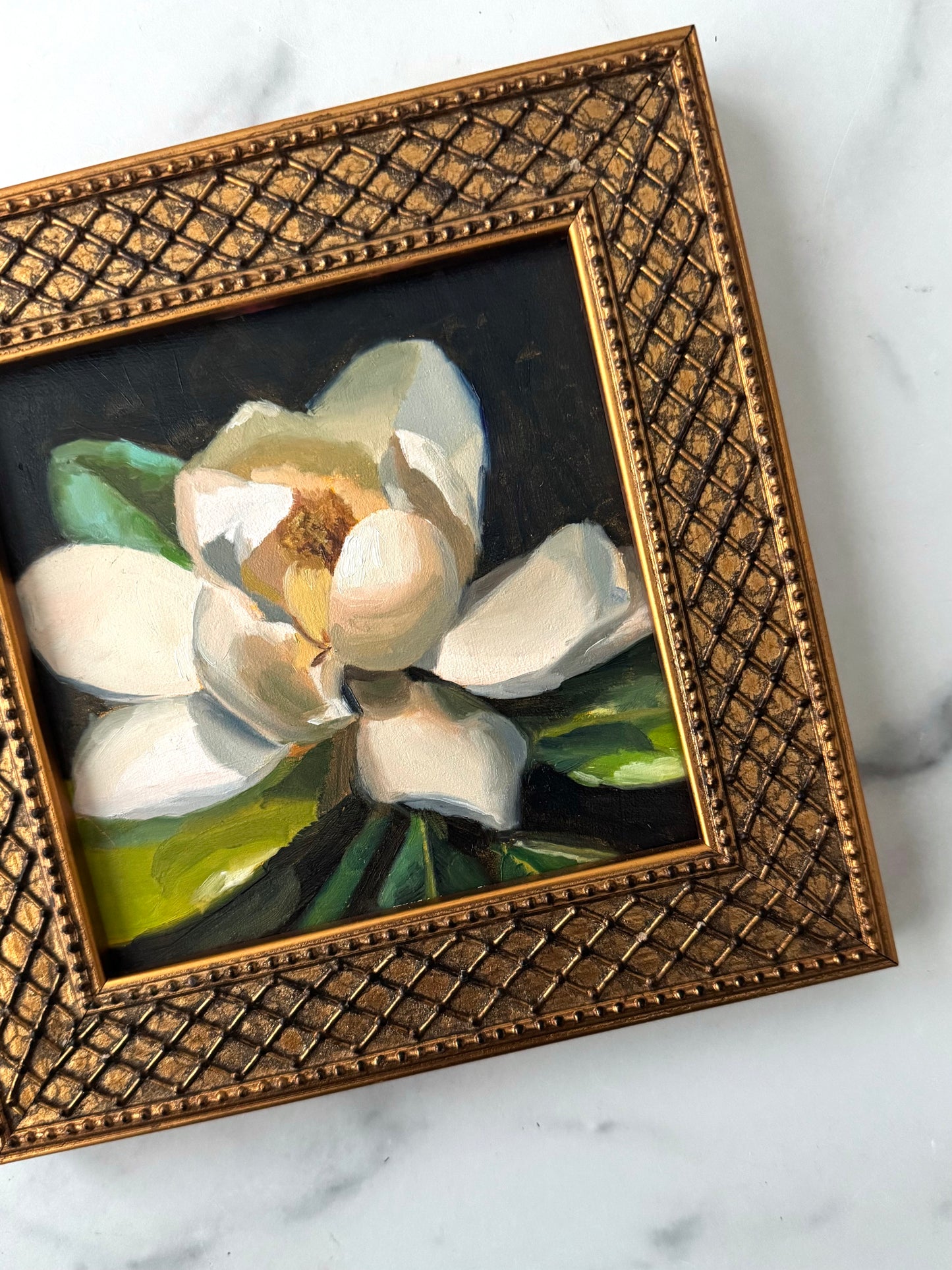 Magnolia II
