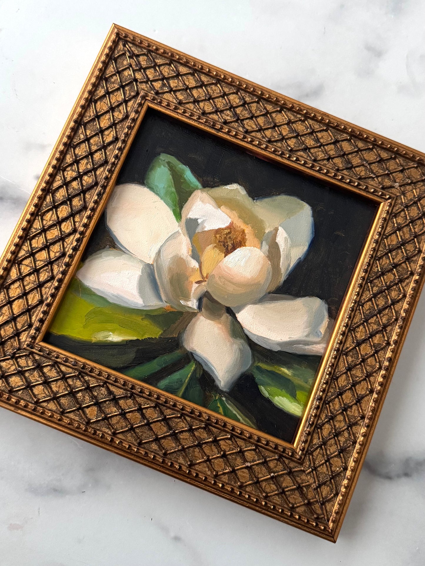 Magnolia II