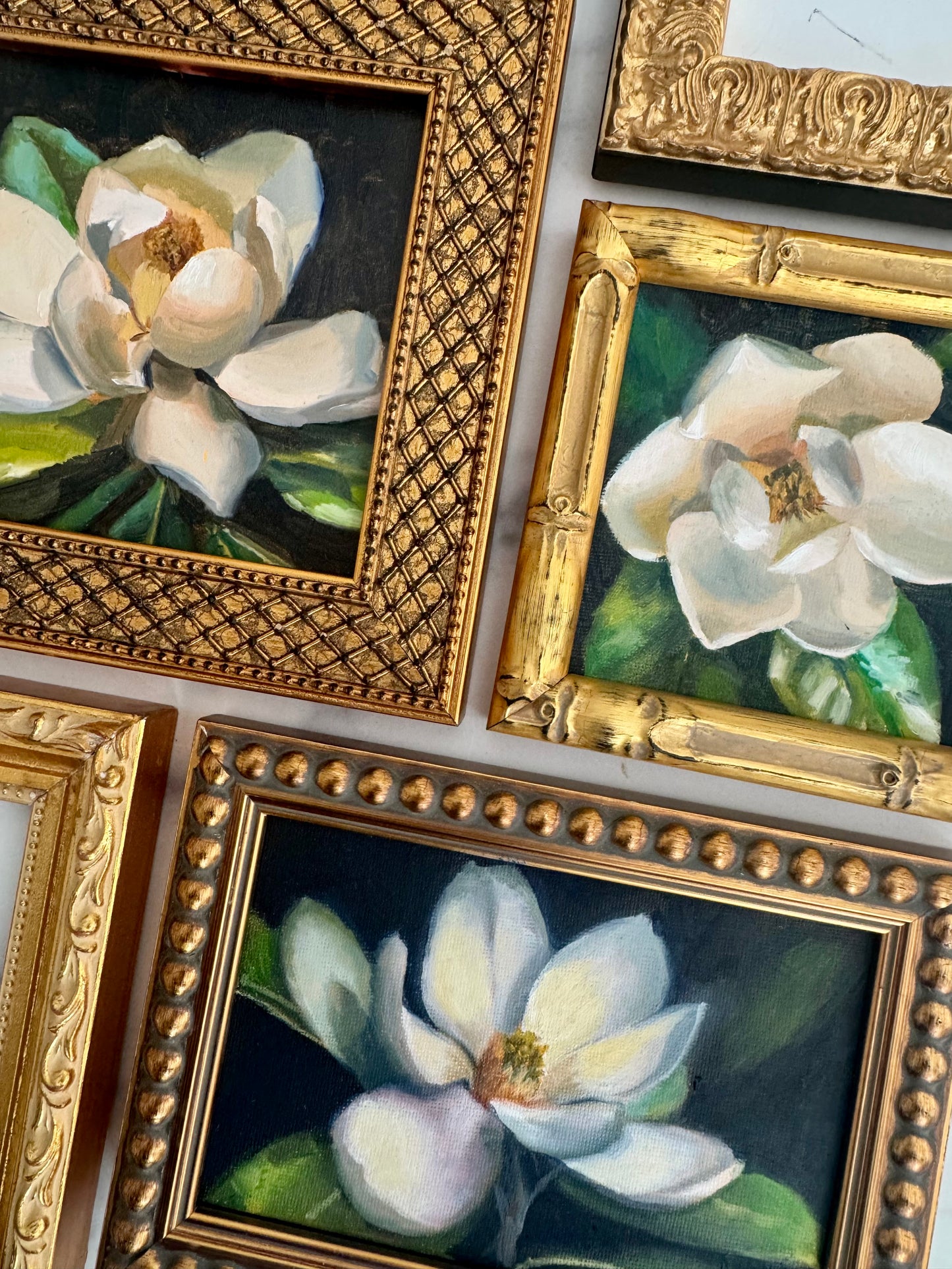 Magnolia III