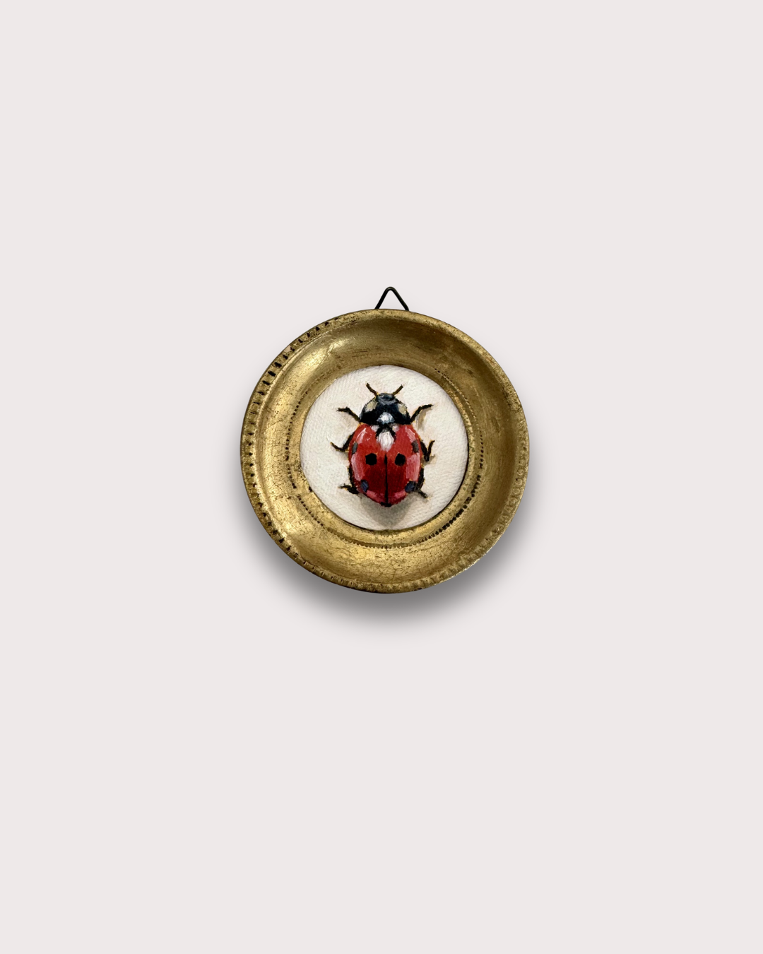 Ladybug