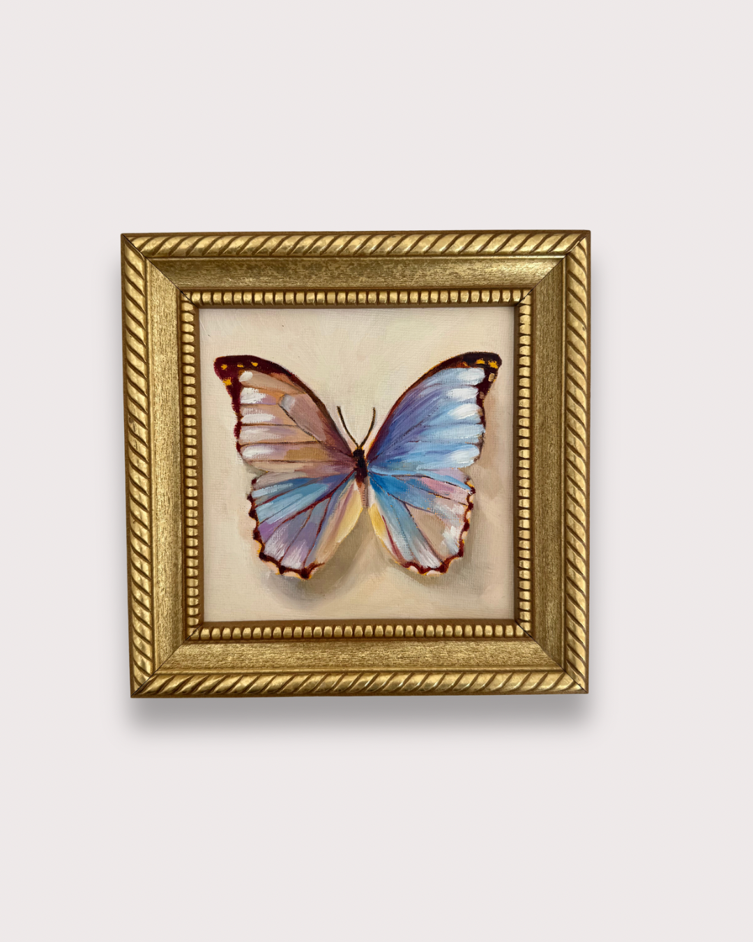 Godart's Morpho