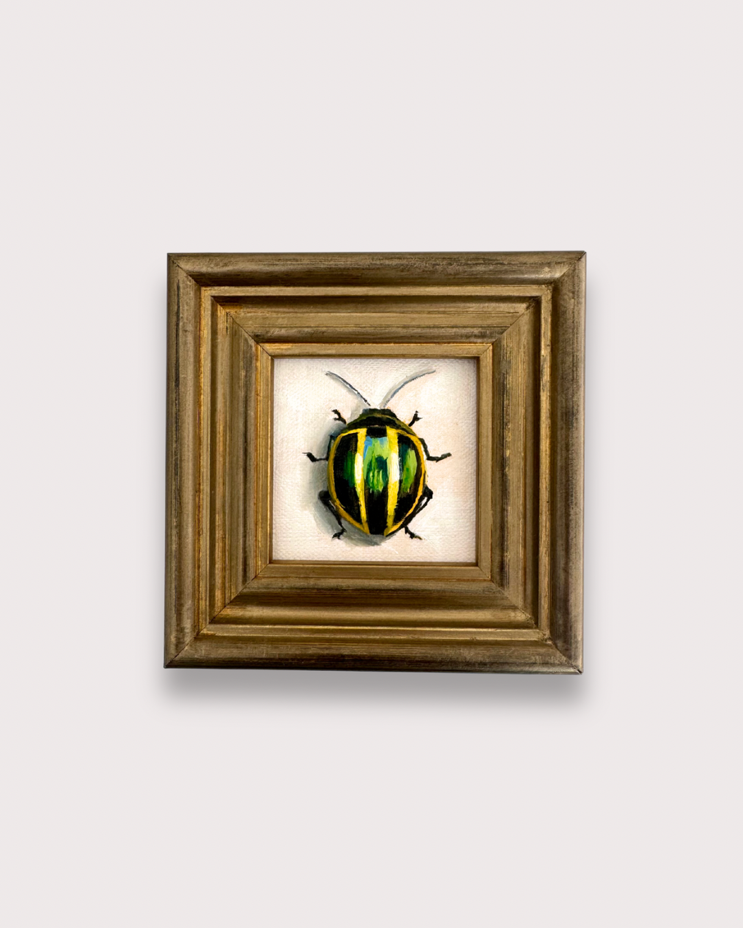 Desmogramma Martinezi