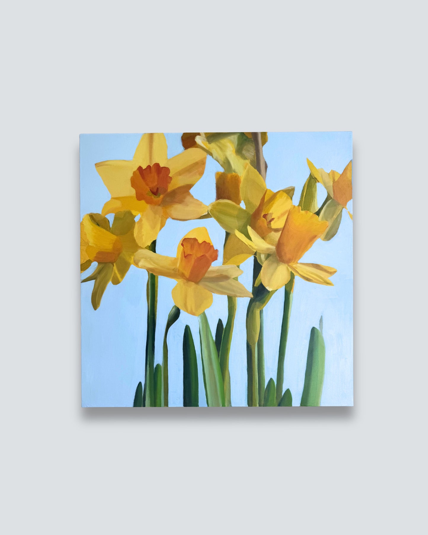 Daffodils