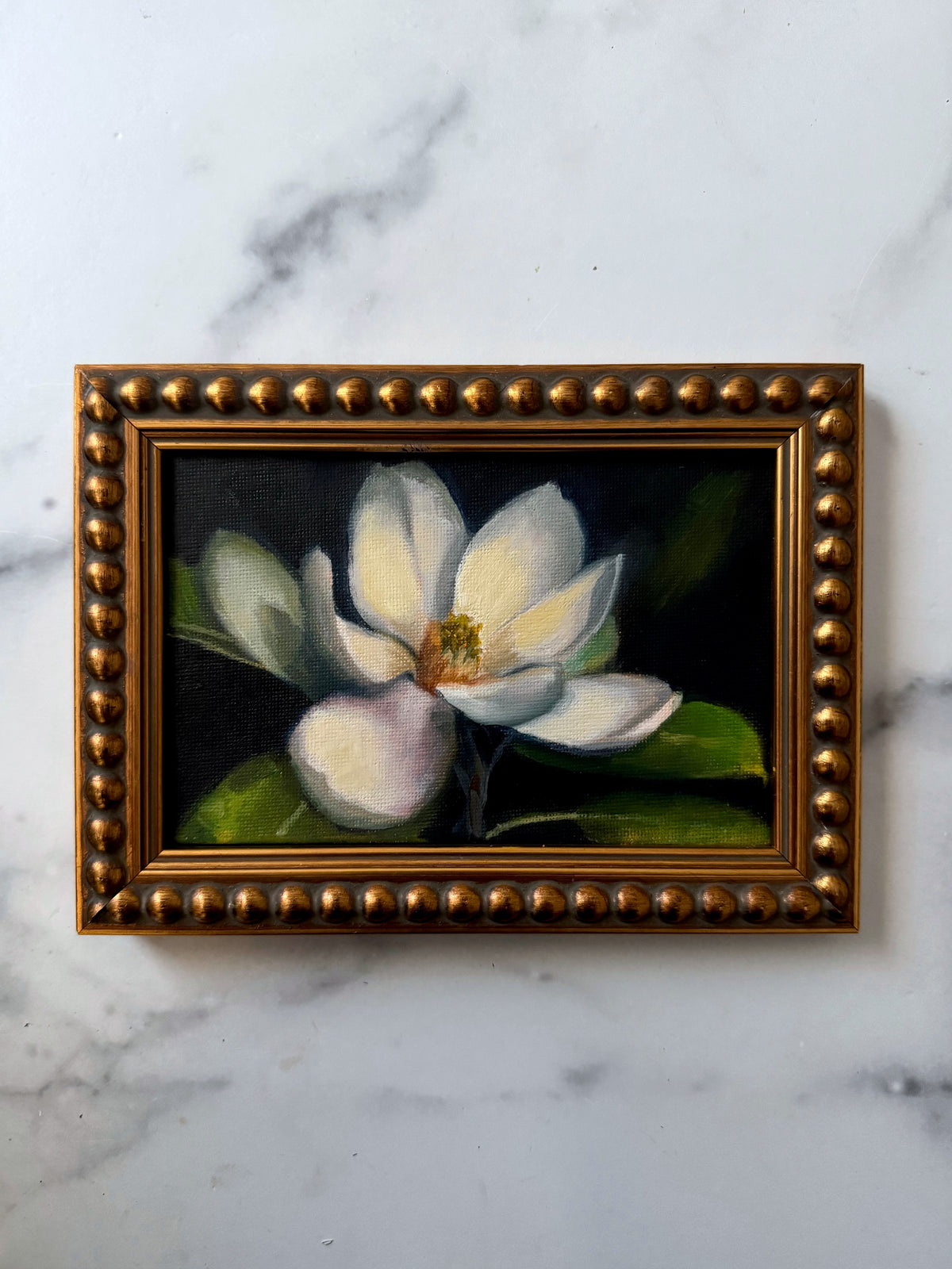 Magnolia III