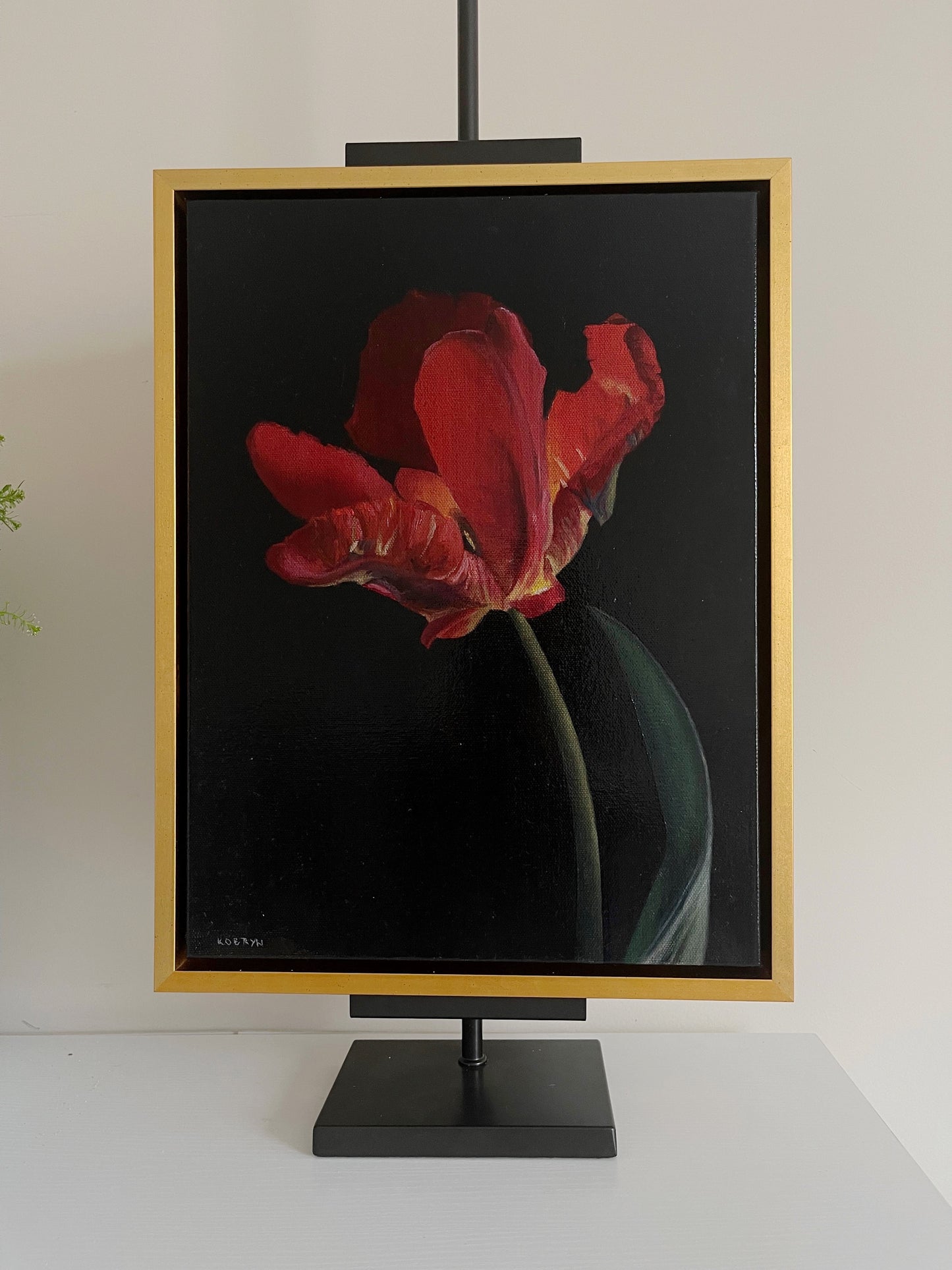 “Parrot Tulip”- 12x16” oil on stretched canvas
