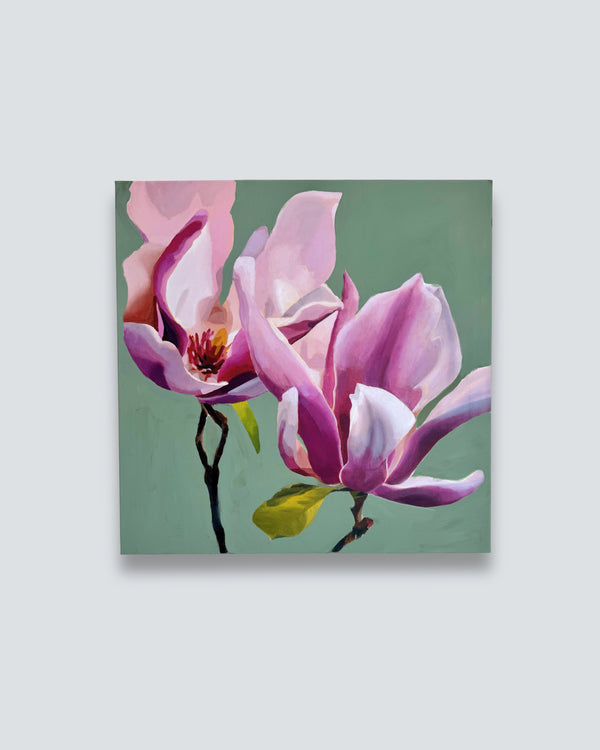 Tulip Magnolias